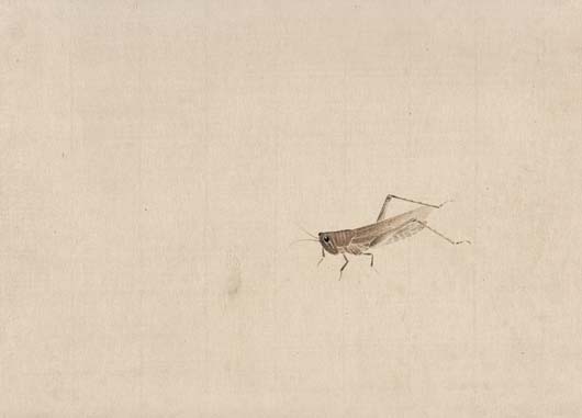 Qi Baishi's grass and insect paintings on display in Beijing