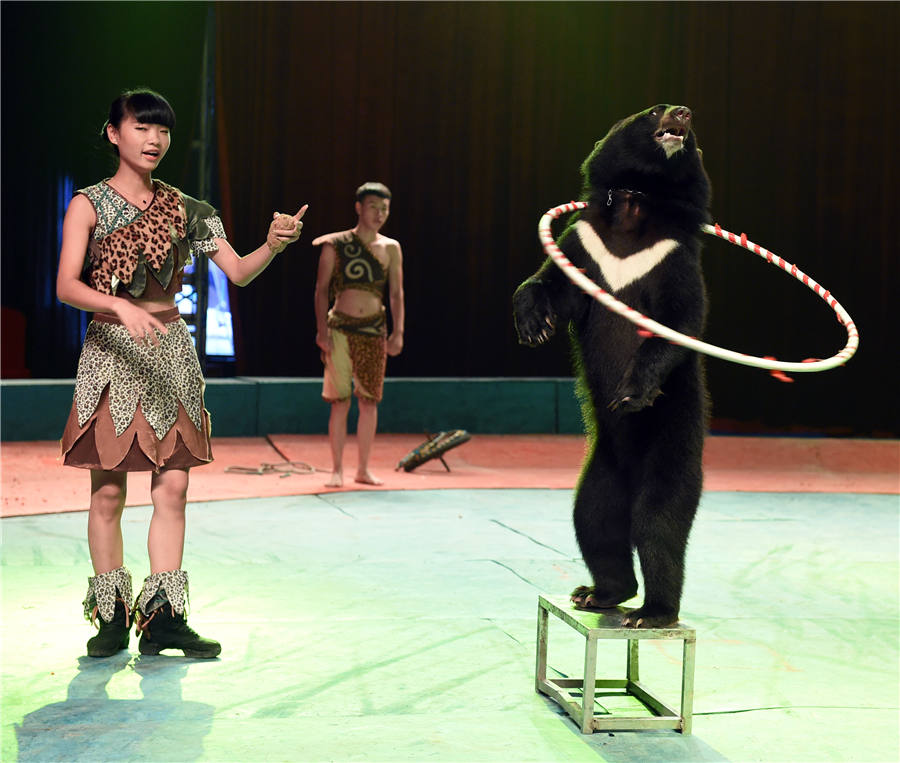 Circus festival in Hebei showcases grand performances