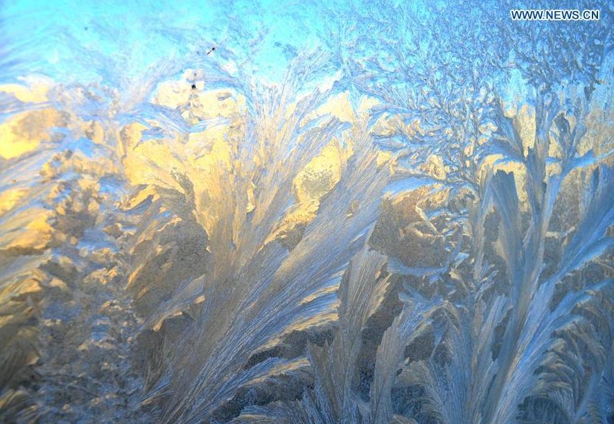 Frost formed patterns on window in NW China