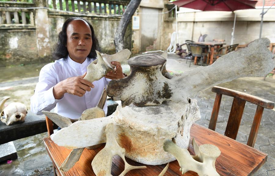 Artist in SE China creates paintings with fish bones