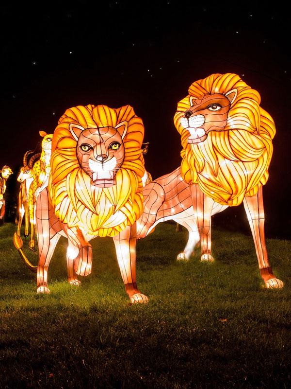 China's giant lanterns to light up Scotland