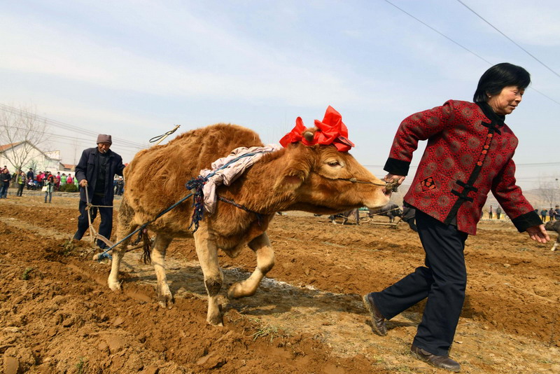 China celebrates Long Tai Tou Festival