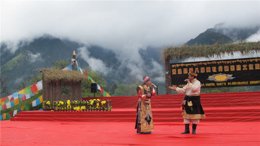 8th Yellow Peony festival held in Tibet