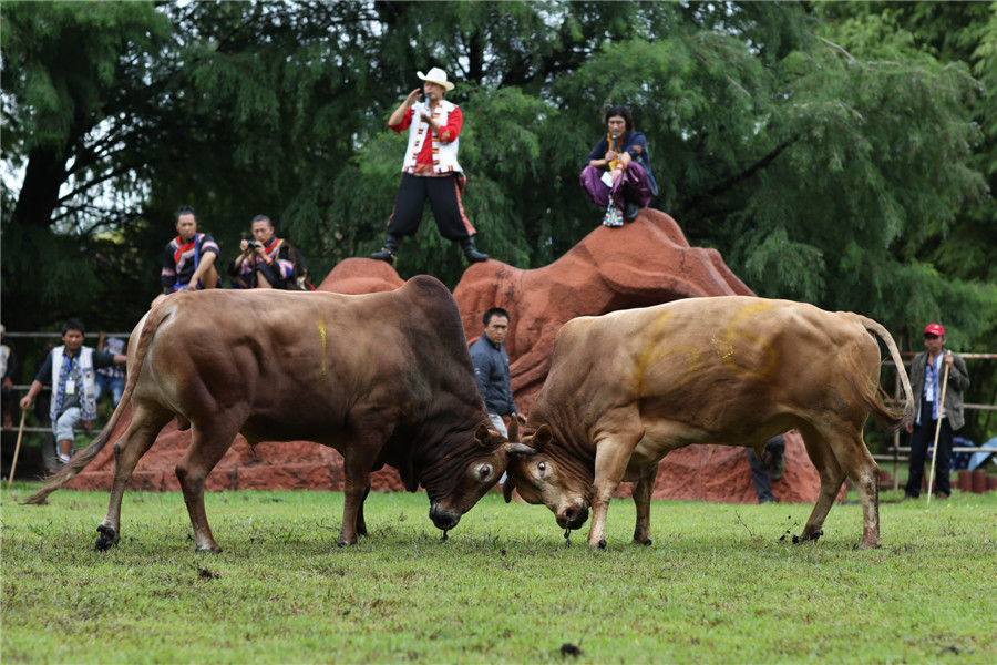 Yi people celebrate biggest festival