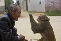 Severe damage to Chu Great Wall relics attracts attention