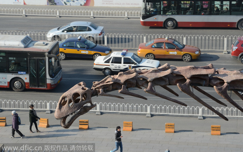 World's biggest dinosaur skeleton shown in Beijing