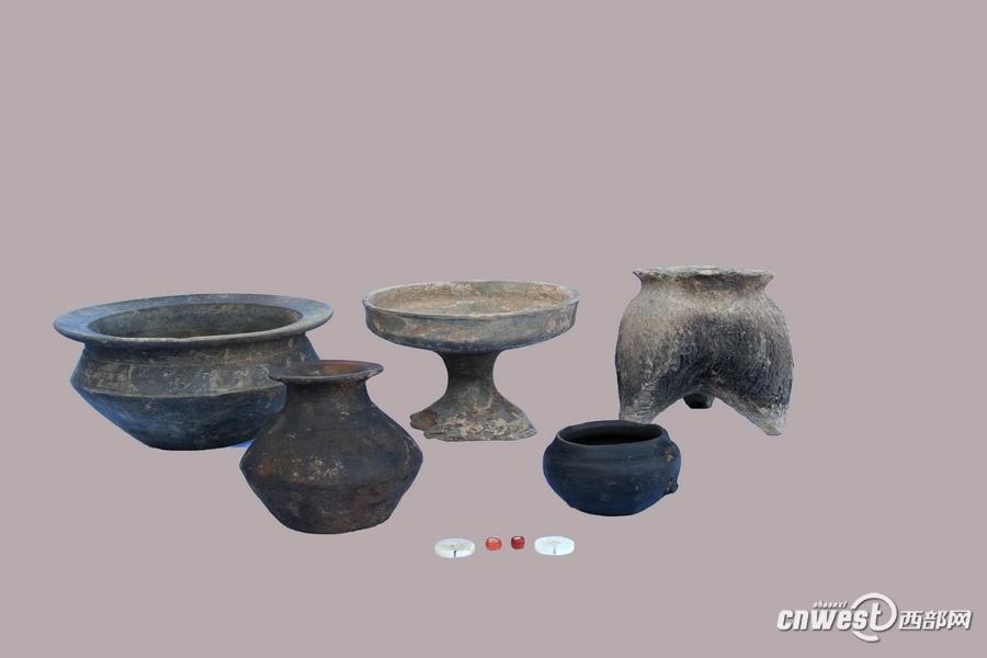 Rare horse and chariot pit found in Shaanxi