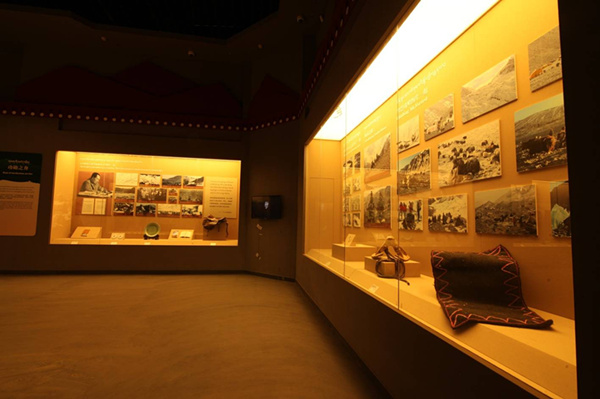 Tibetan yak museum sparks craze in Beijing