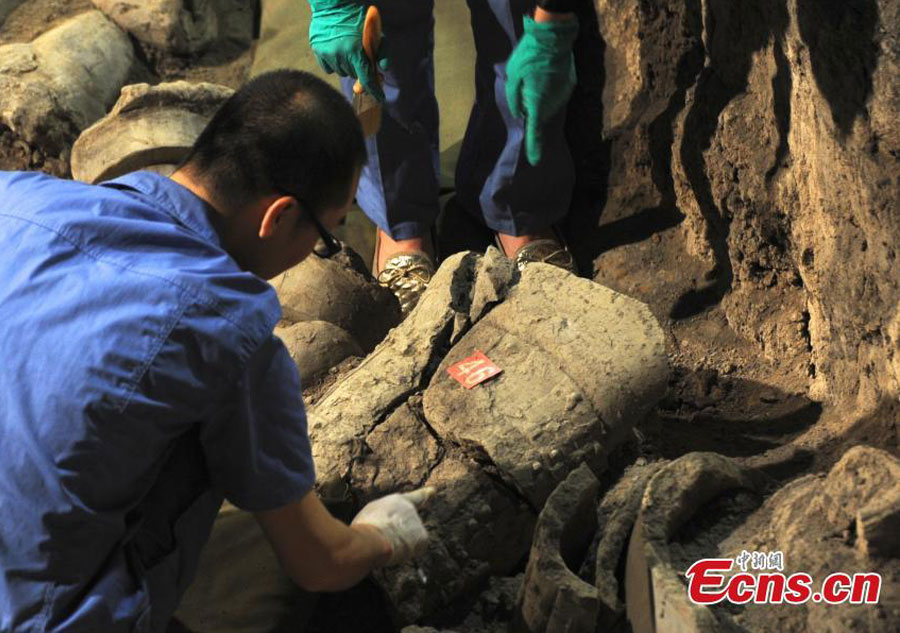 Terracotta Warrior Army site starts new excavation