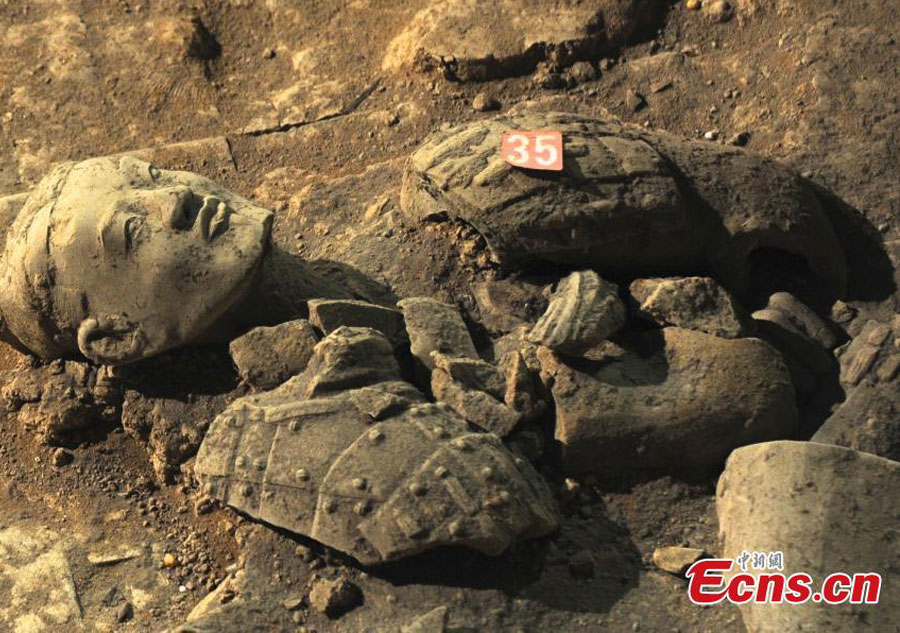 Terracotta Warrior Army site starts new excavation