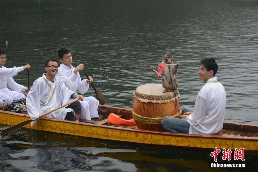 Monkey drummers bring fun to dragon boat race