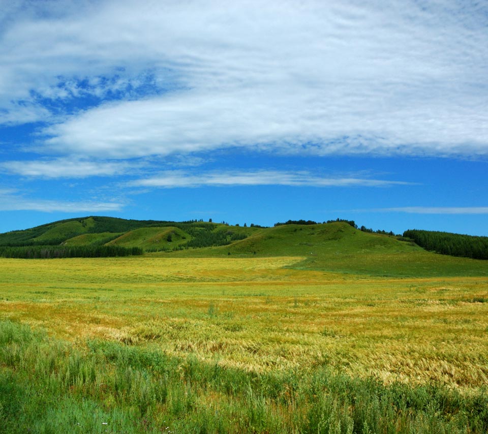 Symbols represent Inner Mongolia’s cultural heritage