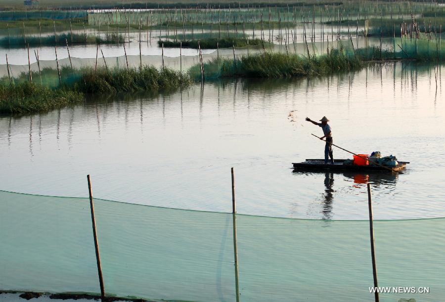 Days of fisherman's life