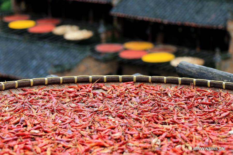 Crop drying during raining season in Eastern China 