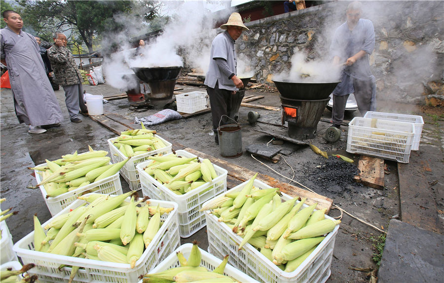 Shaolin Temple shares harvest with tourists