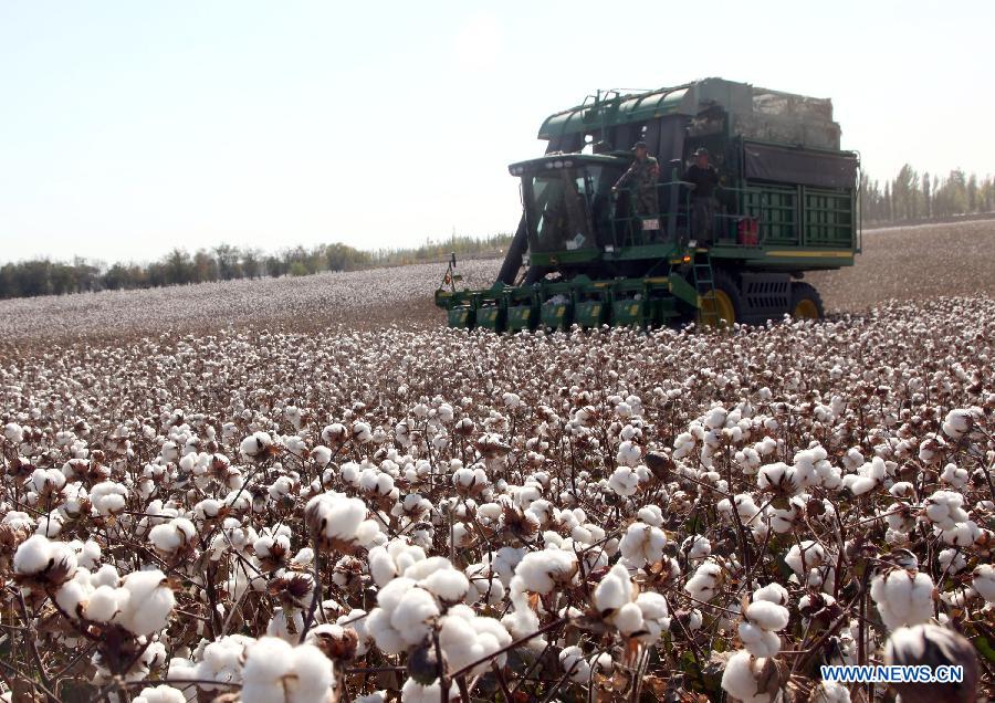 Scenery of autumn harvest around China