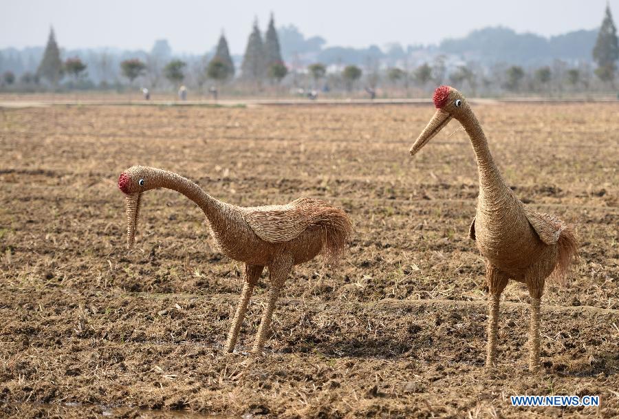 In pics: straw installations created by local villagers