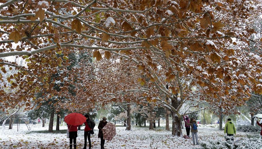 Snowfall brings beauty in Beijing winter