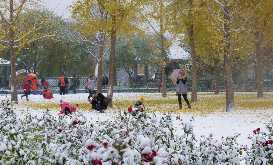 Snowfall brings beauty in Beijing winter