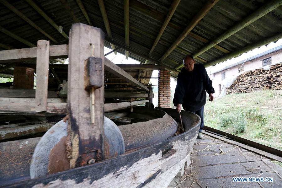 Traditional way of making tea oil preserved in S China