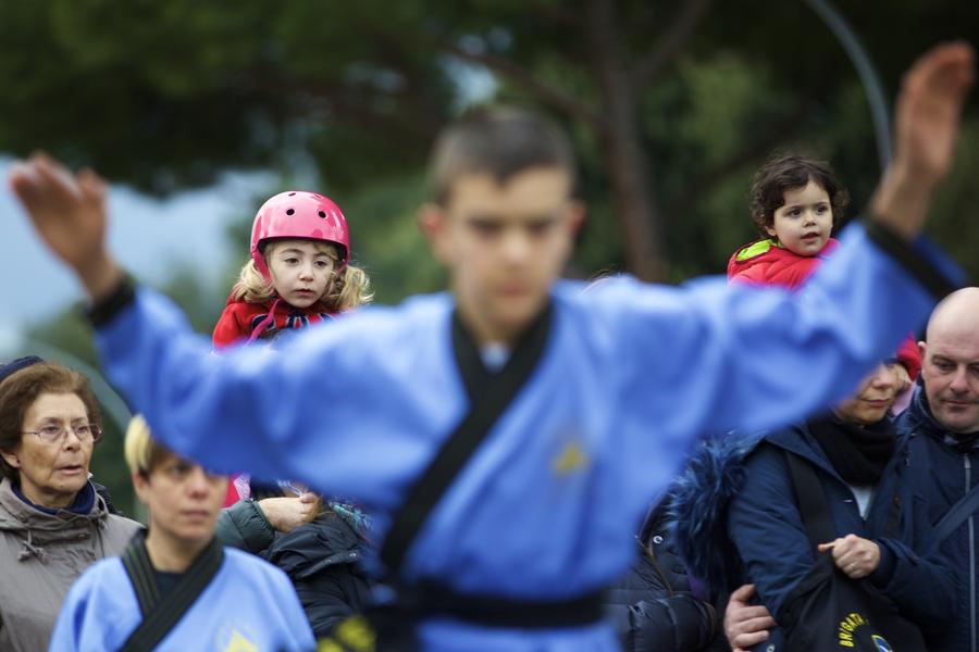 Temple fair held to mark coming Chinese New Year in Rome