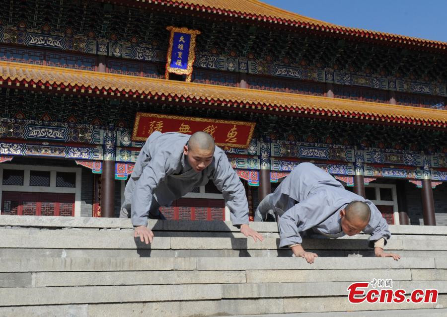 Young monks learn kungfu in NE China temple