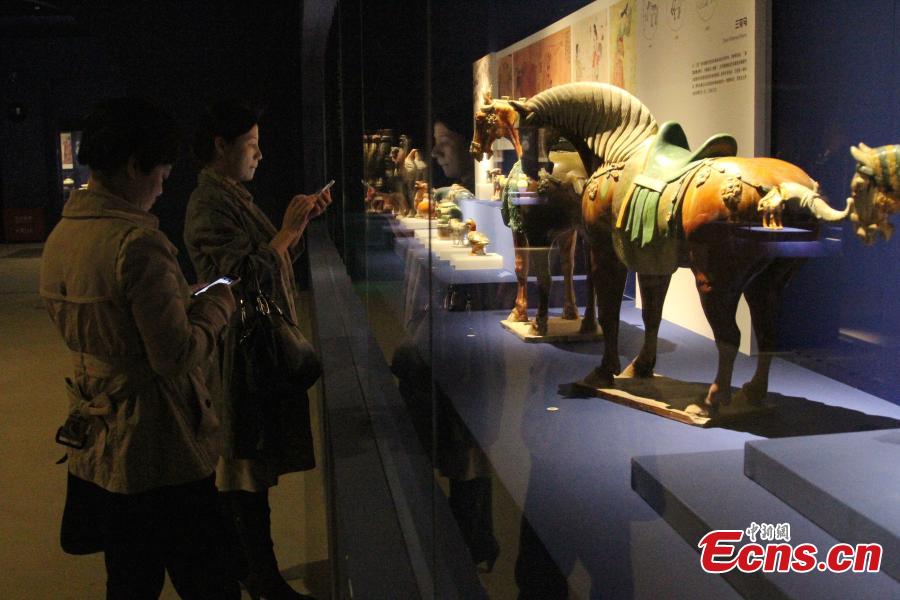 Tri-colored glazed pottery show held in Xi'an