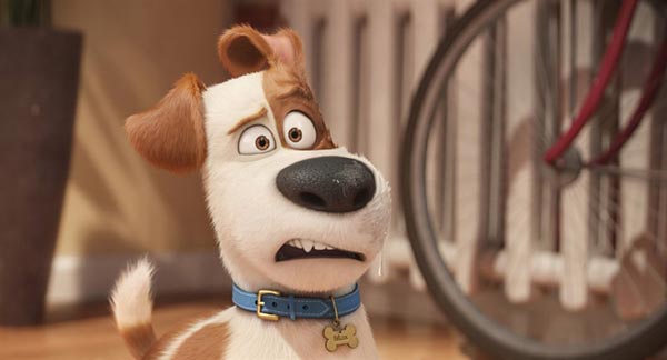 'Minions' team unveils 'The Secret Life of Pets'