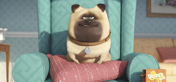 'Minions' team unveils 'The Secret Life of Pets'