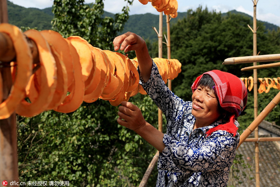 Wuyuan celebrates the Autumn Sun Cultural Festival