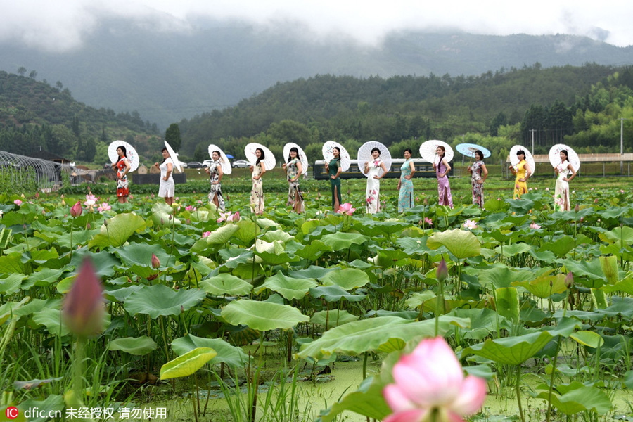 Females in qipao warm up the summer