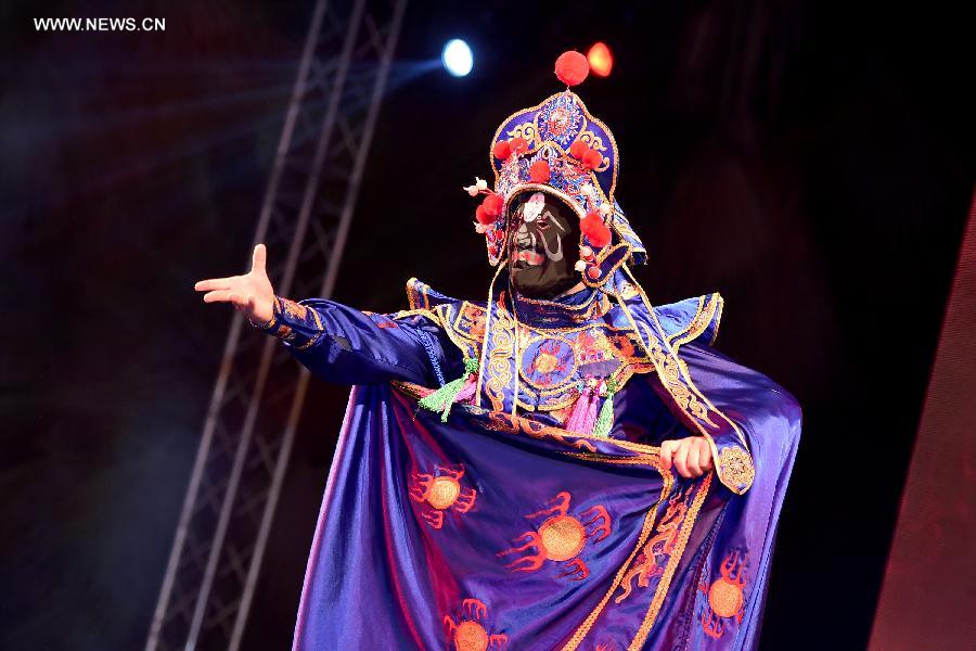 Afro-Chinese Arts & Folklore Festival opens in Cairo, Egypt