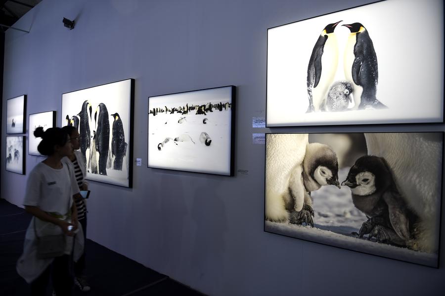 Pingyao International Photography Festival kicks off