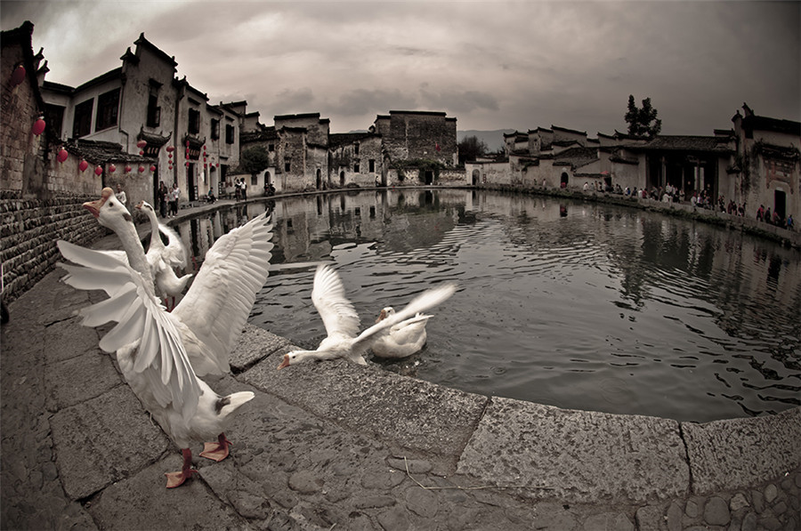 China in the eyes of foreign photographers