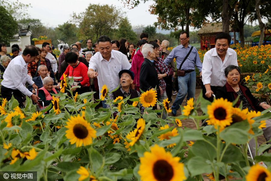 Flowers, cakes and dance mark Double Ninth Festival