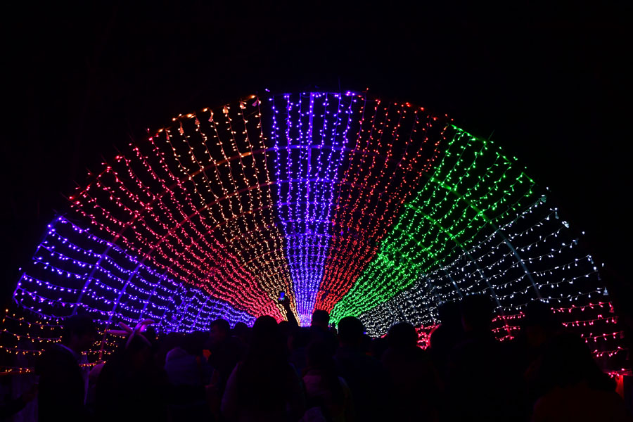 Lanterns lit up to celebrate Spring Festival