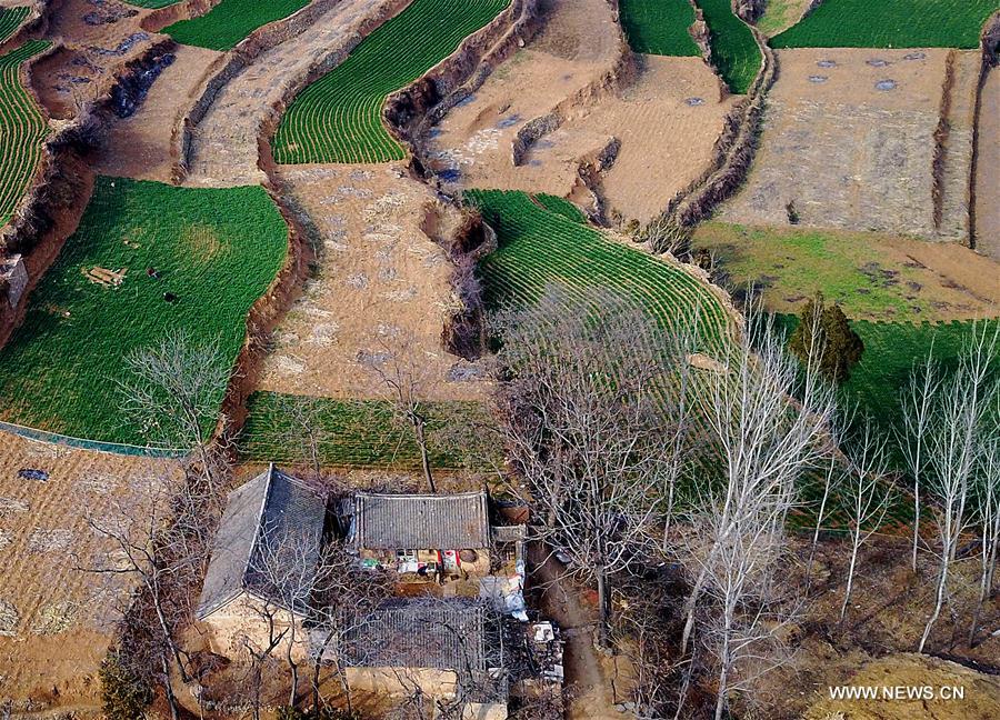 Stone village in Central China's Henan