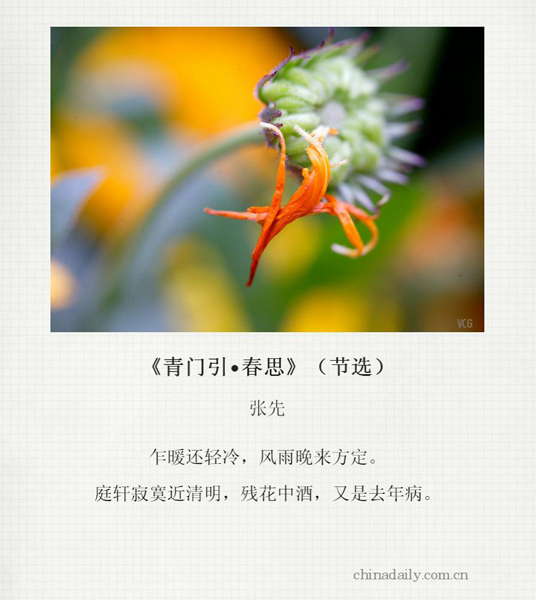 Qingming Festival in ancient Chinese poems