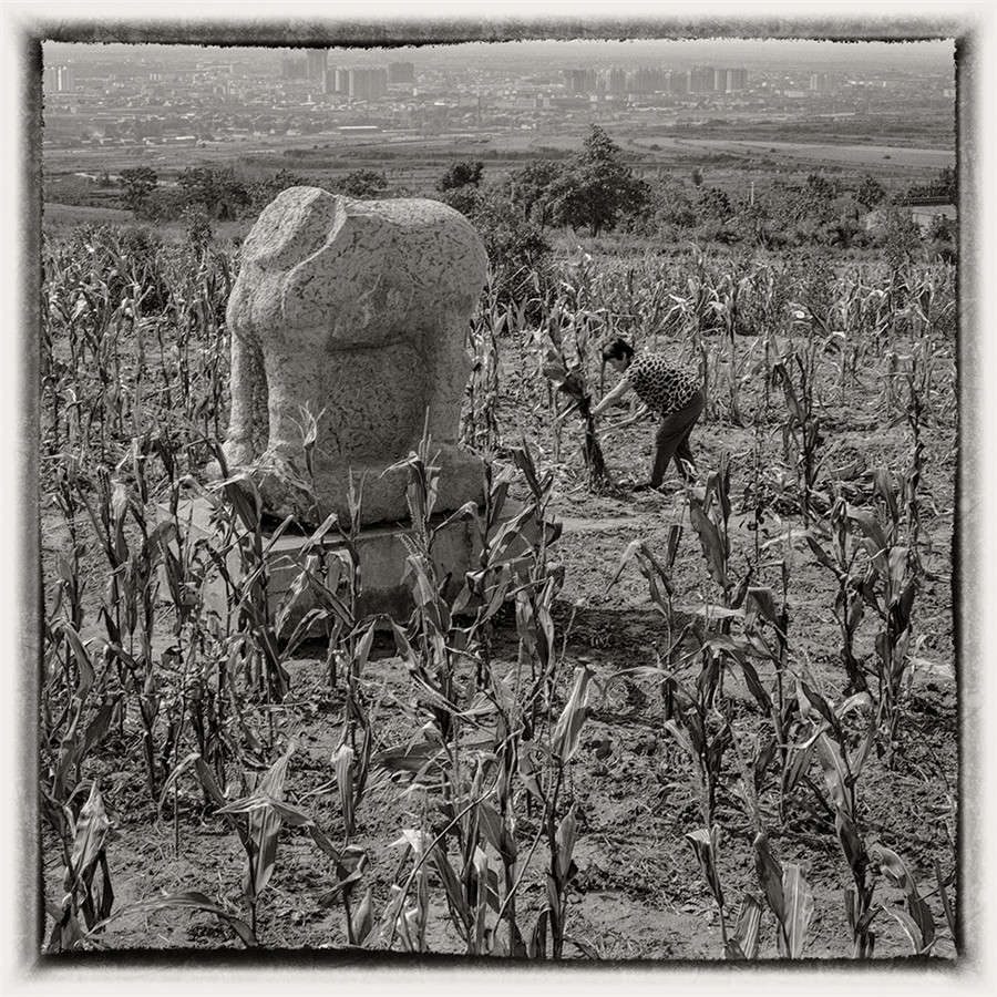 Tang Dynasty imperial mausoleums captured on film