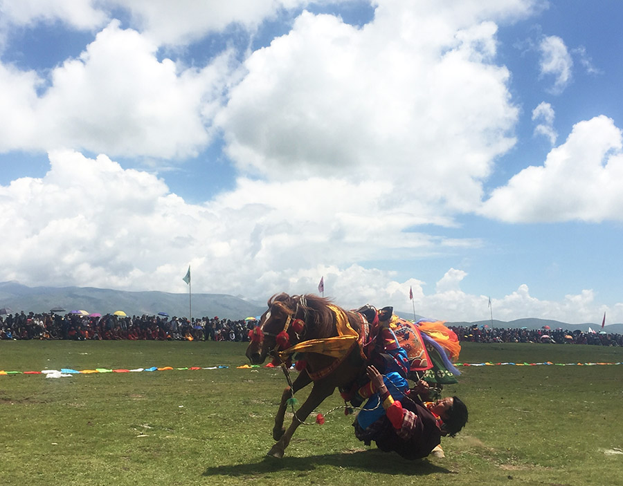 Horse riders impress audience at equestrian festival