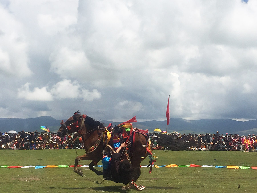 Horse riders impress audience at equestrian festival