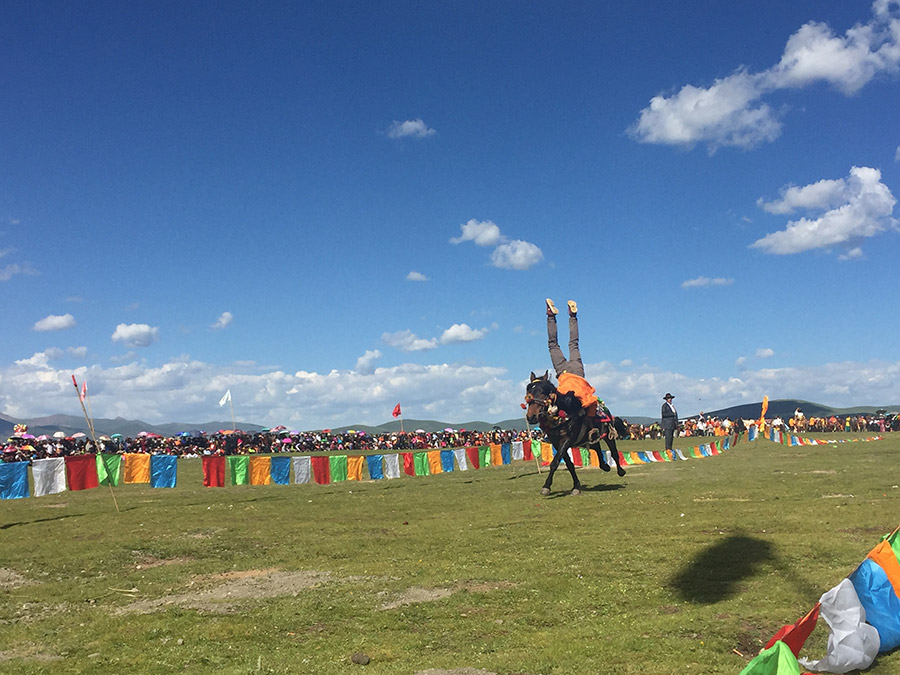 Horse riders impress audience at equestrian festival