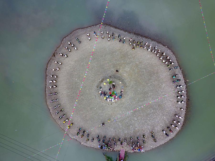 Miao people dance to celebrate 'Chixin Festival' in SW China's Guizhou