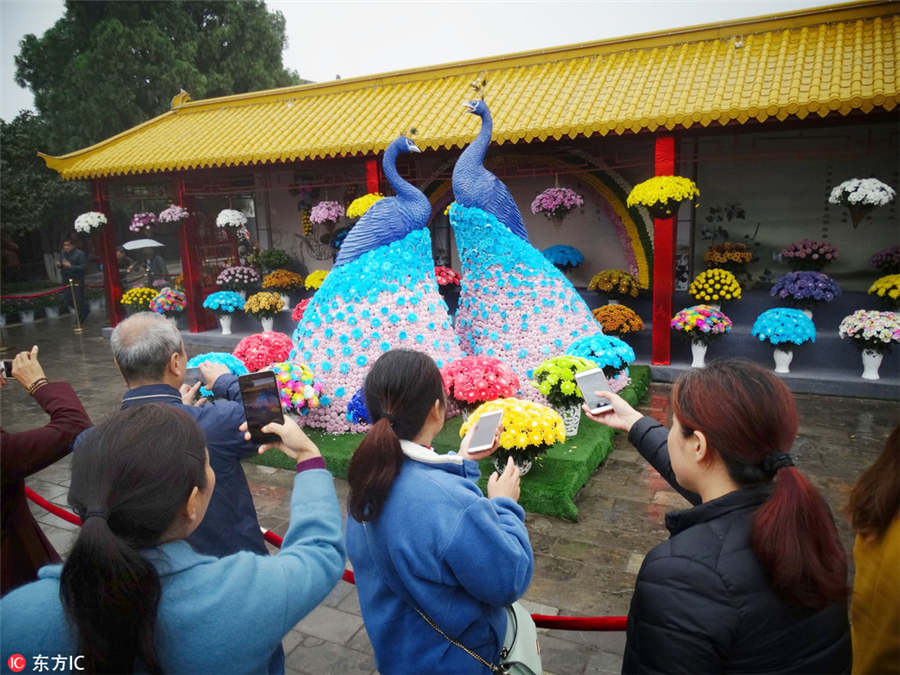 Chrysanthemum Cultural Festival opens in Kaifeng