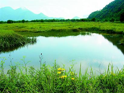 大九湖：渾然天成濕地美景