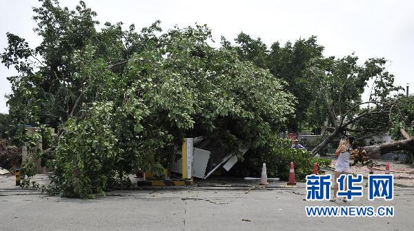 近期華北東北等地暴雨洪澇風(fēng)雹災(zāi)害造成57人死亡失蹤