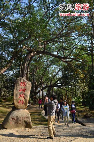 滇西春色擋不住　孔雀之鄉(xiāng)德宏體驗(yàn)邊境文化