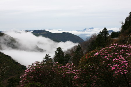 神農(nóng)架大九湖景區(qū)重新開放