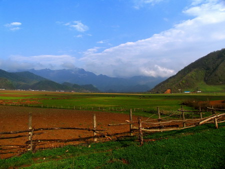 神農(nóng)架大九湖景區(qū)重新開放