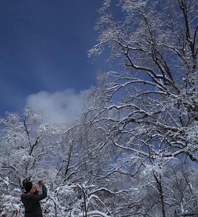 強(qiáng)冷空氣致神農(nóng)架驟降“桃花雪”